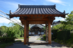 sanmon4